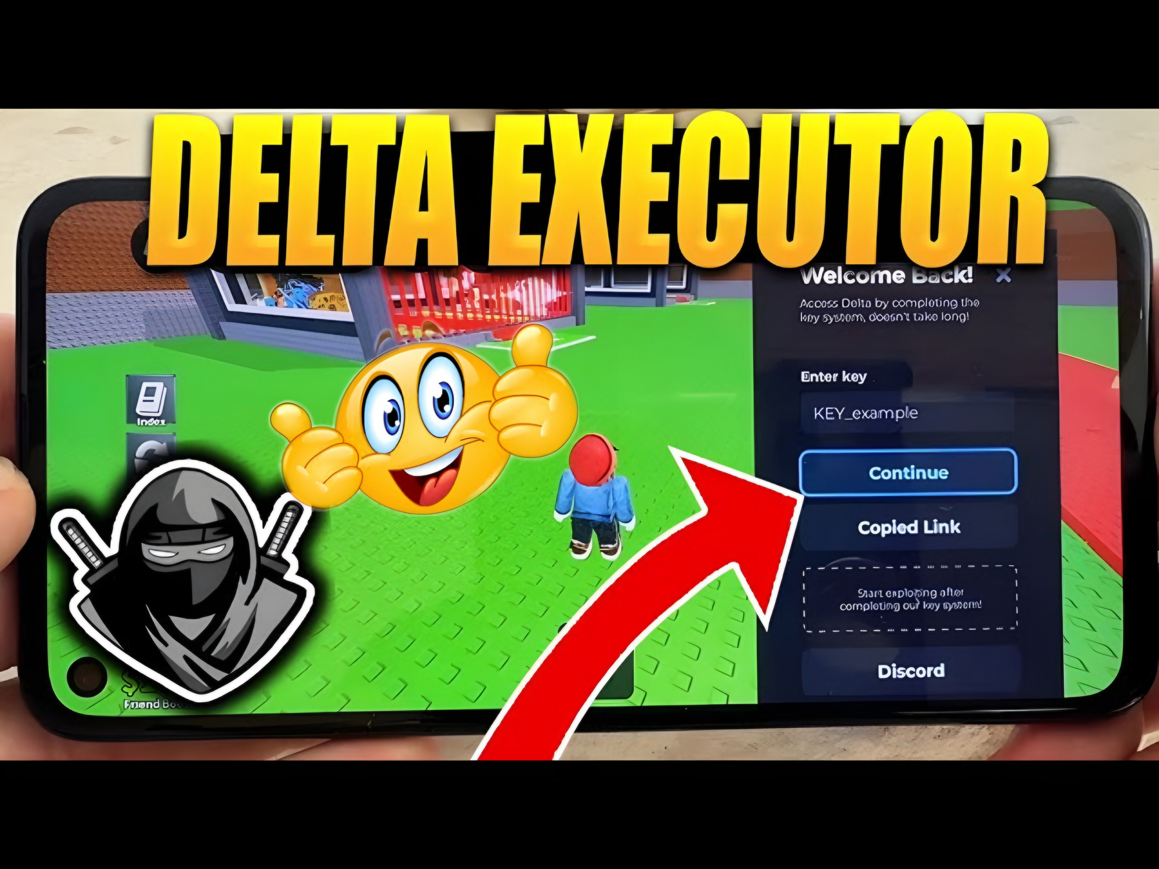 Delta Executor Roblox interface used to run Rivals and Blox Fruits scripts